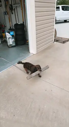 #fyppppppppppppppppppppppp