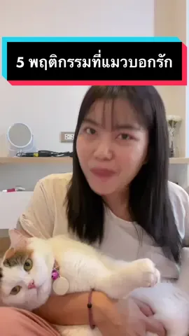 5 พฤติกรรมที่แมวบอกรัก❤️ #cat #catsoftiktok #แมว #มูมินแมวเหนียง #แมวดื้อ #ทาสแมว #รู้หรือไม่
