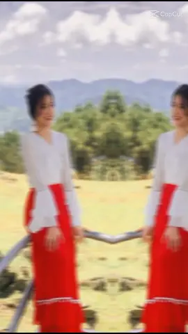 mọi người cho mình 1 tim,1 fl để mình có động lực làm video hay hơn đi ạ😁