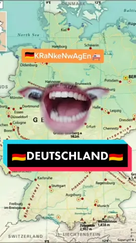 Chegou a galera que fala xingando🇩🇪 #fypシ #fy #xyzbca #brasil #frança #alemanha #agoravocesabe