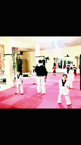 TEAM ELITE 🥊🥷🥋