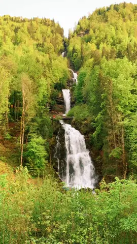 Switzerland 🇨🇭🏔#wasserfall #waterfall #switzerland #schweiz #zürich #bern #natur