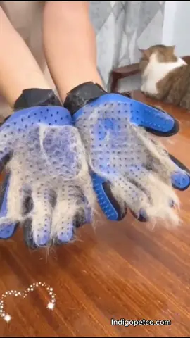 Deshedding Gloves 🧤 #PonderWithZion #deshedding #grooming #DIY #cat #catsoftiktok #satisfaction #clean #pethair #LifeHack #pethack #petstiktok