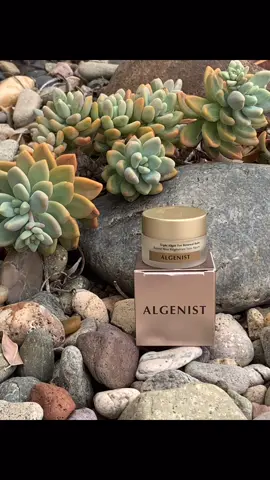 This Triple Algae Eye Renewal Balm is amazing. I really feel that it’s working within seconds of my first application. #algenist #eyebalm #skincare