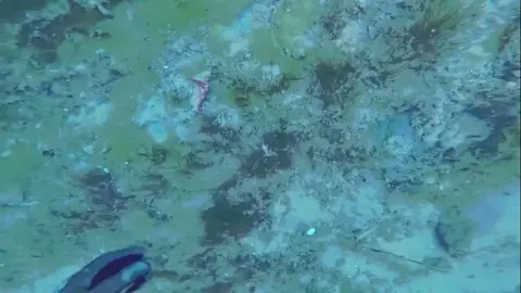 #seaded #sea #thetitanic #submarine #foryou