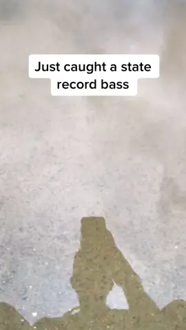 Let me know if you see it #record #bass #bassfishing #angler #Lovefishing #staterecord #fish #fishingtrip #Lifestyle #fyp #foryou