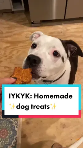 ￼ Making dog treats from juice pulp￼! #doggo #fypシ #xyzbca #PetsOfTikTok  #cute #nctoday #nccheck #pitbull