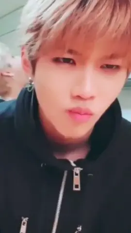 Responder a @laudado35 #straykids #skz #bangchan #fekix #skzbangchan #skzfelix #fy #fyp #fypシ #parati #stay #aussieline