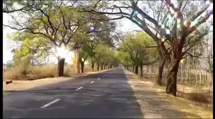 သူဆီ သို့ 🛵🛵🛵🛵#tikokmyanmar #မုံရွာ #foryou