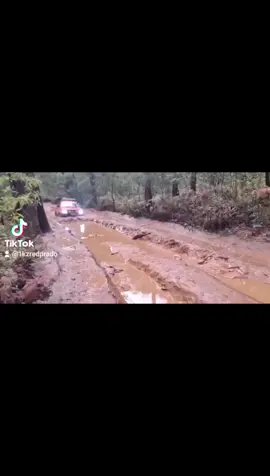 #toolangi4x4