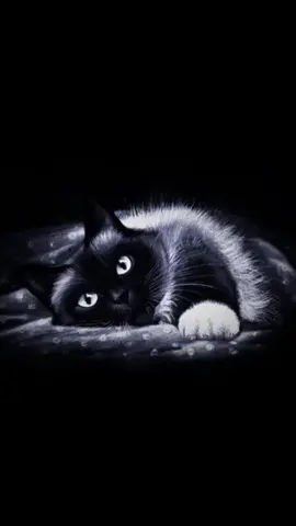 #глашасовушкина