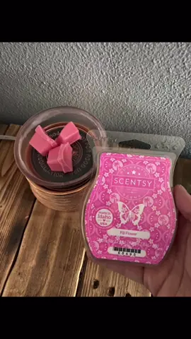 One of my favorite scents out right now! #scentsy #scentsyconsultant #waxboss help me blow my small business up!! www.adventurescent.scentsy.us