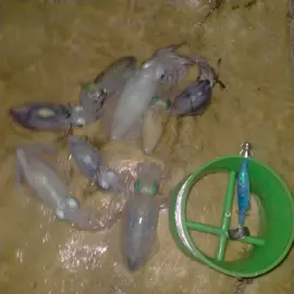 #levanlam_longtieng #vanlam_cp #kietparklongtieng