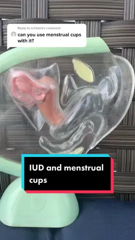 Reply to @schkarla yes you can! #obgyn #gynogirls #LearnOnTikTok #divacup #iud