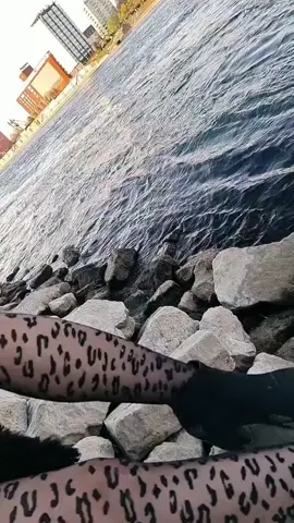 وصلوني 300k متابع # حركه الاكسبلور