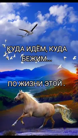 #Куда идём, куда бежим #по жизни этой.... Песня огонь #Послушайте .