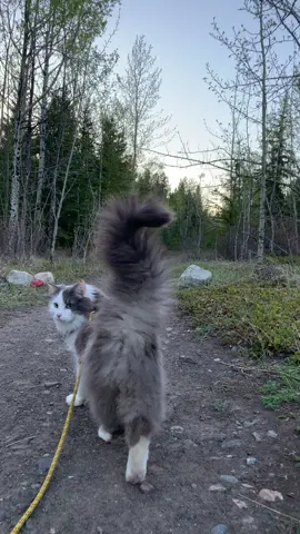 Such a floofy 🍑