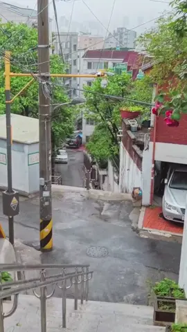 Rainy Alleys in Seoul. 비오는 서울의 골목길. #rose #rain #rainyday #seoul #골목길 #alley #springrain #비오는날 #봄비 #asmr #fyp