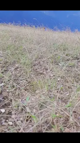 #hometown #Anupmahat #keepsupporting #Arghakhanchi_muser 😍😍🙏