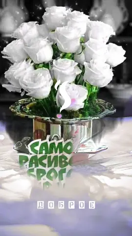 #еленаковалева #доброе_утро_хорошего_вам_дня