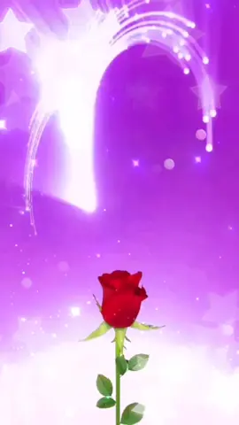 Ответ пользователю @.irodahon #nigina #musilm #rek #diyor #uzbek #sevgi#rek  #moskva #shaka #rekandadsiya #рекамендации💘💛💛