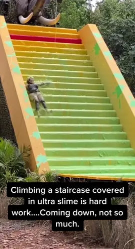 #ImACelebrityAU #staircase #slipandslide  ￼@erin.alysha #risky