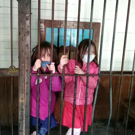 #kidsinjail #kidsinjailchallenge #kidsgoingtojail