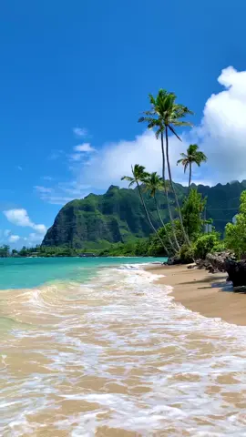 Esta es una de las playas mas bonitas de hawaii localizada justo enfrente de jurassic park #hawaii #jurassicpark #Love #vacations #oahu #beach #playa