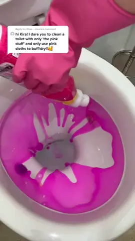 Reply to @chloe.....cleans pink request! #fyp #cleaning #CleanTok #cleaningtiktok #toilet #toiletclean #cleantoilet #thepinkstuff @cleanwithpinkstuff