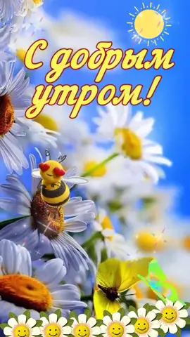 С добрым утром, друзья! #видеооткрытки #пожелания #сдобрымутром #хорошегодня