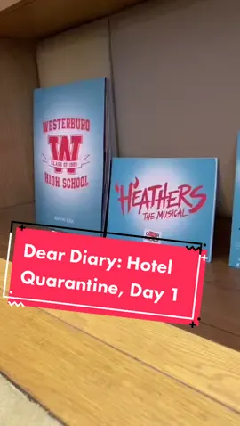 Hey Herr Direktor @afickman... UK hun? #heathers #hotelquarantine #heathersmusical #backonstage