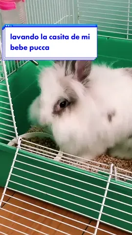 video q nadie me pidió fjsjfjd #fyp #parati #xzybca