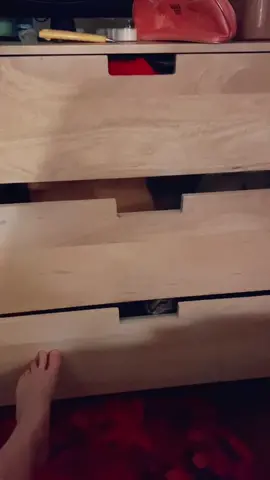 Anyone else feel like they need to child proof their house against their cat? #catsoftiktok #cattok