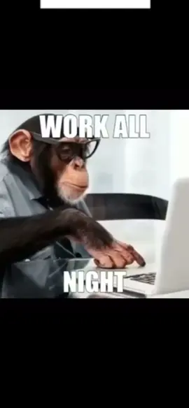 #fyp#banana#monke#gorilla#monkey#meme #shitposter #returntomonke