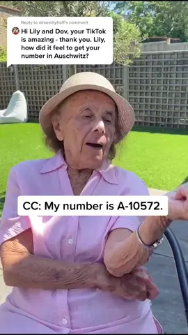 Reply to @aimeelilyhoff Not human, just numbers 🥺💔#neverforget #auschwitz #holocaust #LearnOnTikTok #holocaustsurvivor #hell #history #viral #jewish