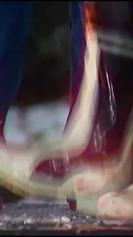 (NO VOLTEES TU TELÉFONO XDXD) QUEEN - WE WILL ROCK YOU #fyp #lentejas #Queen #parati #FreddieMercury