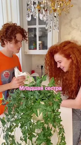 Я всё понимаю, но эта губка афигела😒