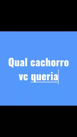 qual cachorro vc queria