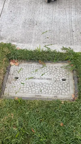 This could be my most favourite one yet #lawnszn #fyp #lawn #gardens #lawns #satisfying #lawntiktok #grasstok #garden #sydney