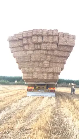 Düetlerinizi bekliyorum 😂 #düet #saman #balya #havale #samanyükleme #jetcileralemi02 #jetcilerturkish #jetcileralemi #explore