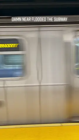 Fun Fact: he peed on a rat. Dont call PETA #fyp #foryou #BestSeatInTheHouse #nyc #subway