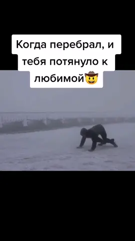 #сектор #любимая#идуктебе #туман#твойзвонок #яиду #понесло #непогода #хой