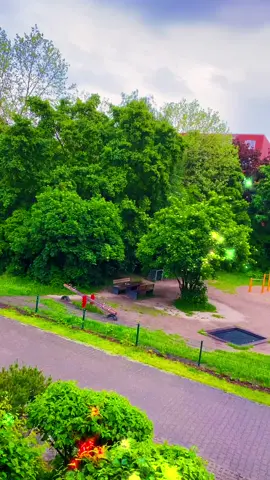 شكراً لمن صان الود و الثقة و بقىو سلاماً على مَن هان عليه الأيام و مضى...😊