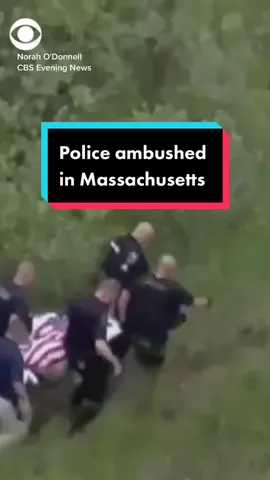 Police officers and police dog ambushed in Massachusetts. #news #police #massachusetts #policedog