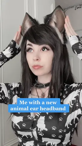 My collection is quite b i g 😂🖤 but my display for them is nice though right? ☺️