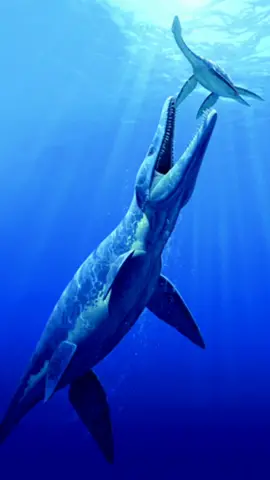 #greenscreen #pliosaurus #predatorx
