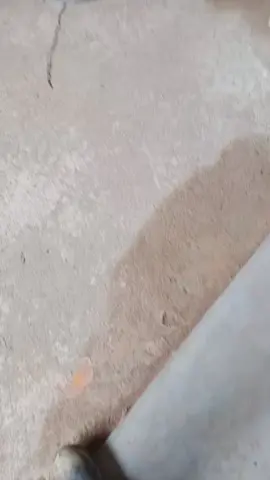 semingu xtengok dah betukar wajah rupanyer.binitua