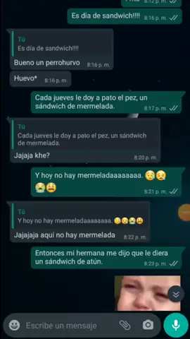 jajajajajajaja lillo & stich.@arlesd08 🤭🤭#lilloandstich #conversacionesdewhatsapp  #broma #dialogosdepelículas