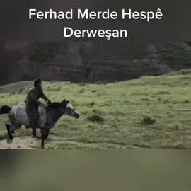 #ferhademerde #şiir #stran #awazaçiya #hesp #derweşe #kurd