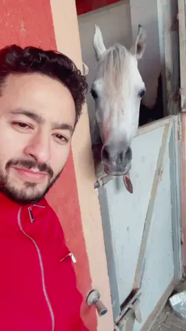 ❤️❤️❤️❤️